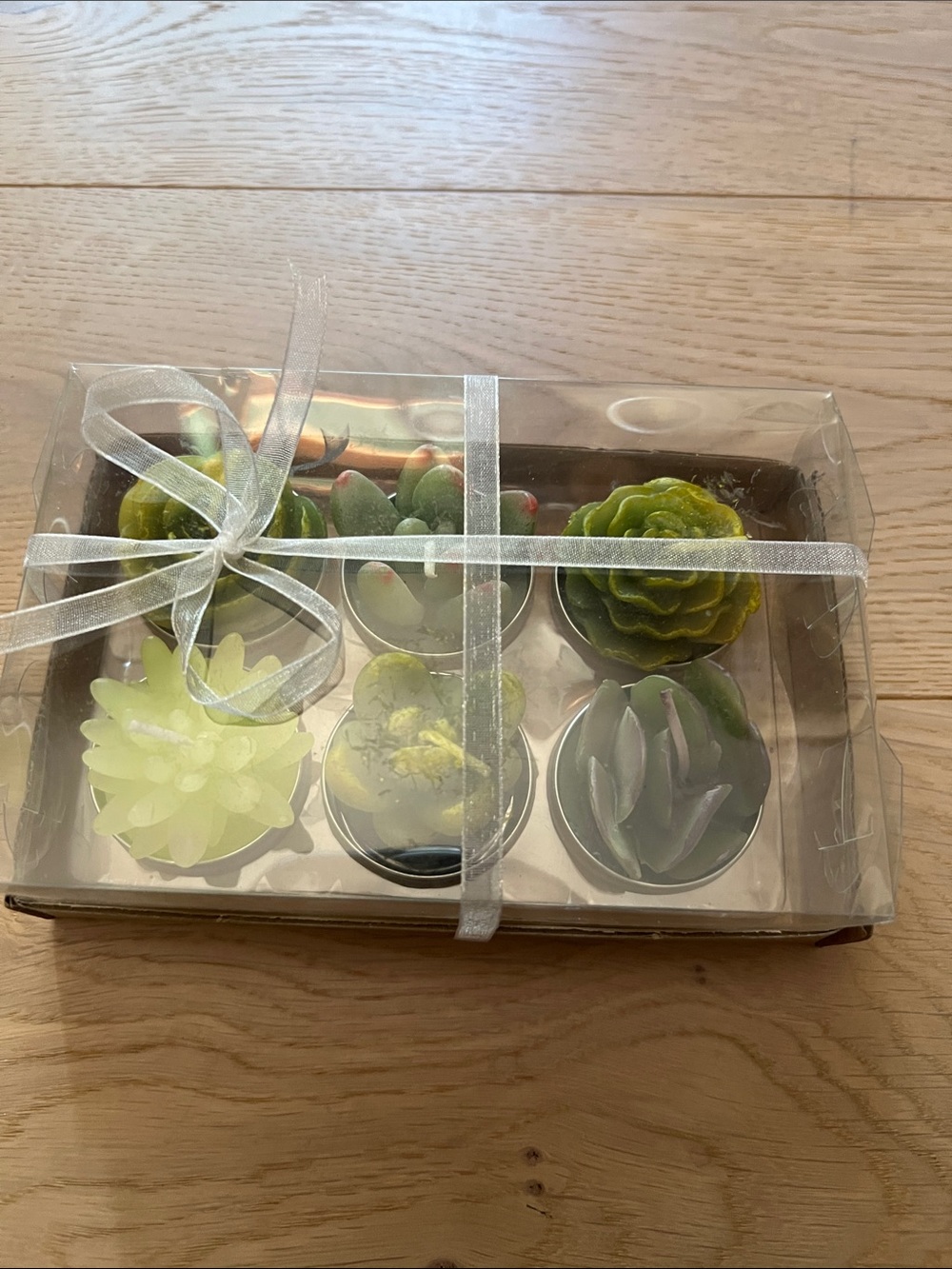Succulent Tea Light Candle Set - Green